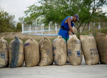 Dian hace 22 operaciones anticontrabando cada hora